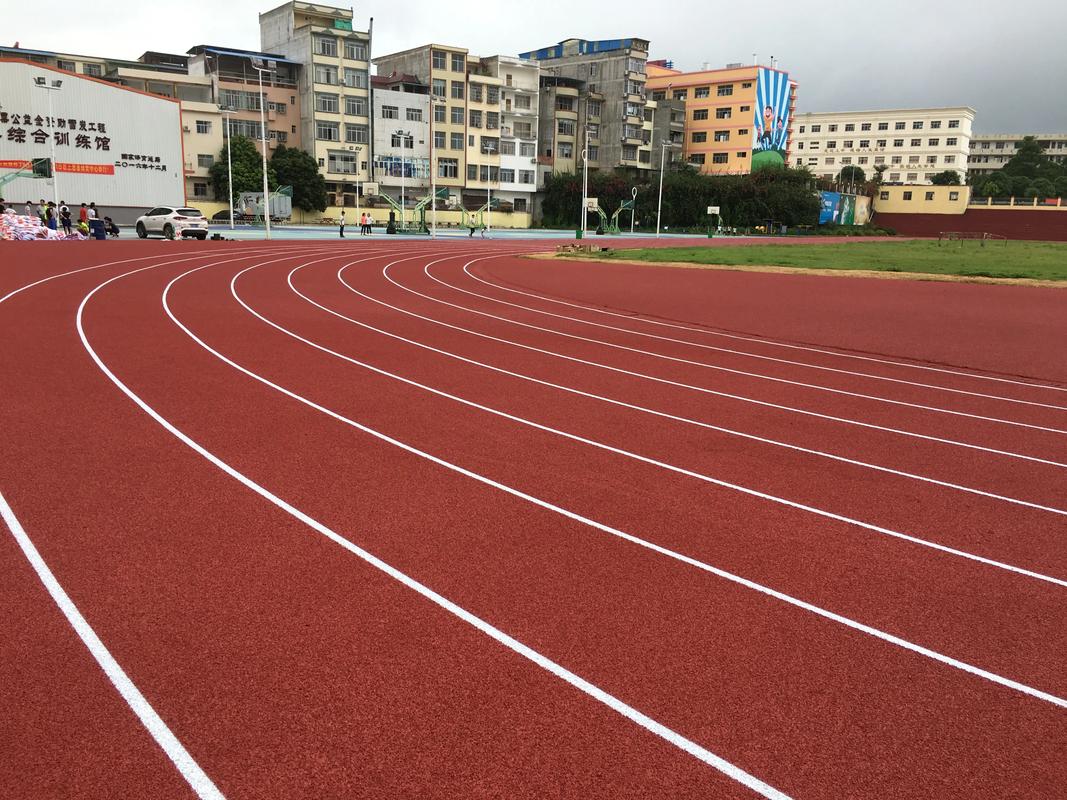 菏泽市学校塑胶跑道塑胶跑道材料 - 厂家